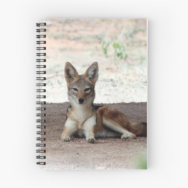 Item preview, Black Backed Jackal designed and sold by Samantha Bailey.