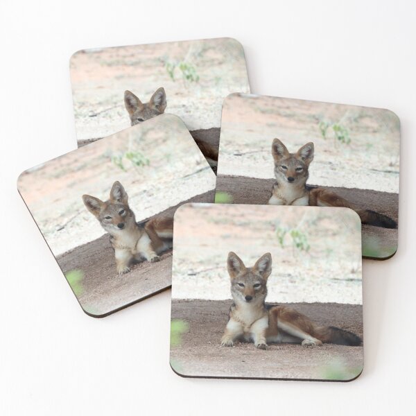 Item preview, Black Backed Jackal designed and sold by Samantha Bailey.