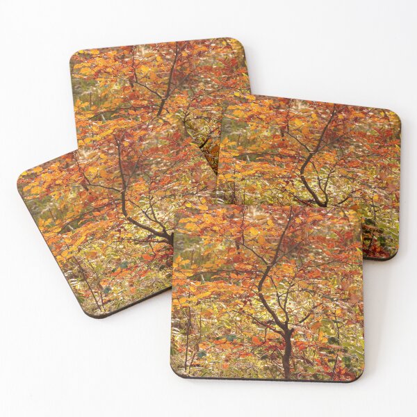 Item preview, photography  creative autumn collage Snowshill Woods cotswolds Gloucestershire  designed and sold by SimonJohnson1.