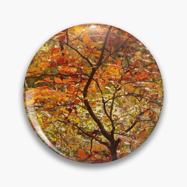 Item preview, photography  creative autumn collage Snowshill Woods cotswolds Gloucestershire  designed and sold by SimonJohnson1.