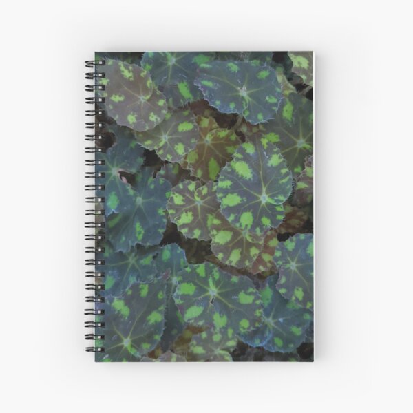 Cuadernos de espiral: Begonia | Redbubble