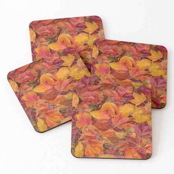 Item preview, Digital photography, autumn maple leaf Collage  Batsford Woods Cotswolds Gloucestershire designed and sold by SimonJohnson1.