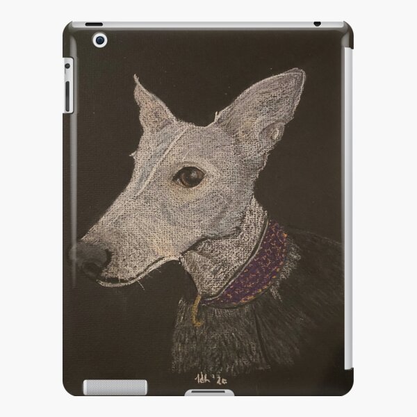 Breeze iPad Snap Case