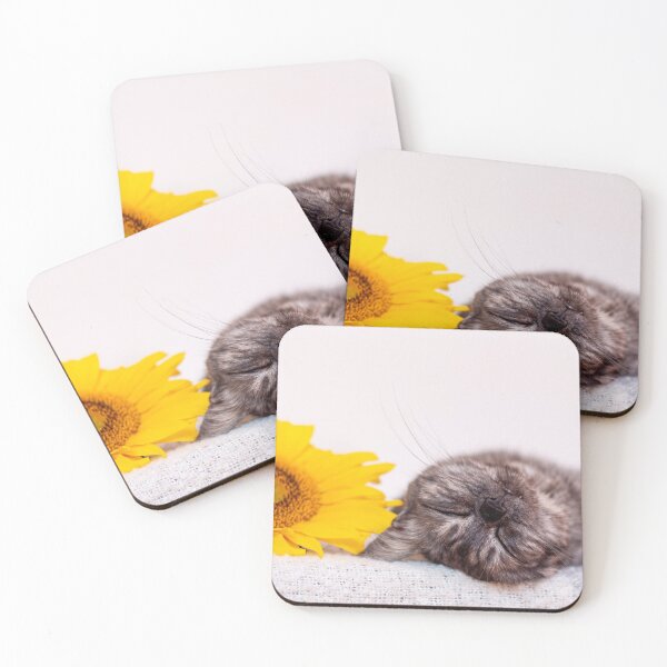 Item preview, Smokey cat sleeping near the sunflower designed and sold by Pokofoto.