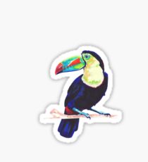 Toucan Sticker