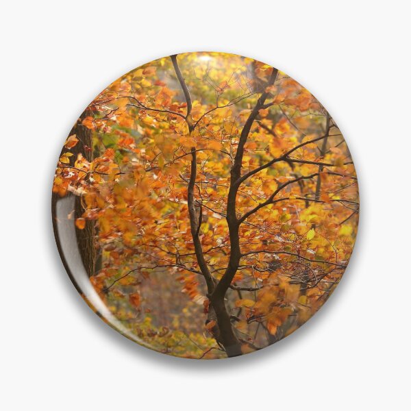 Item preview, Photography, digital art, Sunlit wind blown autumn beech tree  Cotswolds Gloucestershire  designed and sold by SimonJohnson1.