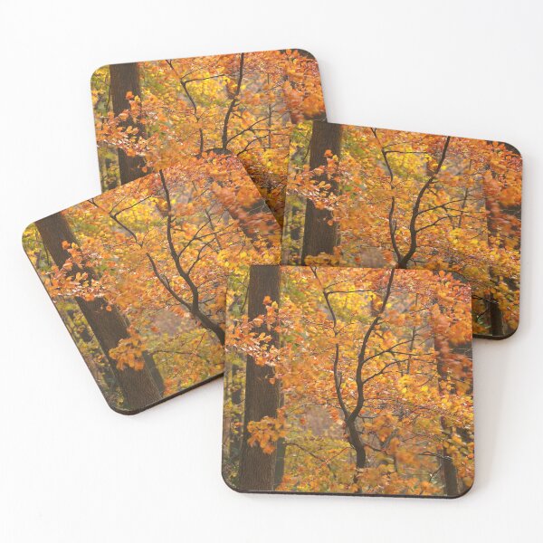 Item preview, Photography, digital art, Sunlit wind blown autumn beech tree  Cotswolds Gloucestershire  designed and sold by SimonJohnson1.