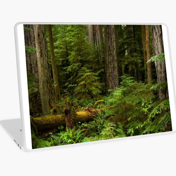 Item preview, West Coast Rain Forest designed and sold by Halobrianna.