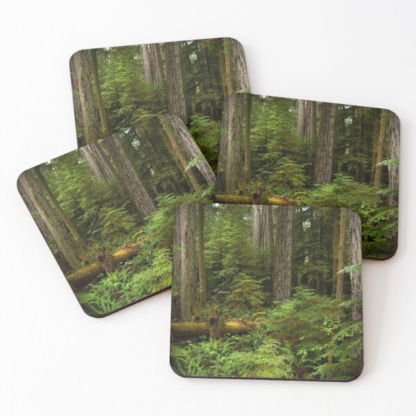 Item preview, West Coast Rain Forest designed and sold by Halobrianna.