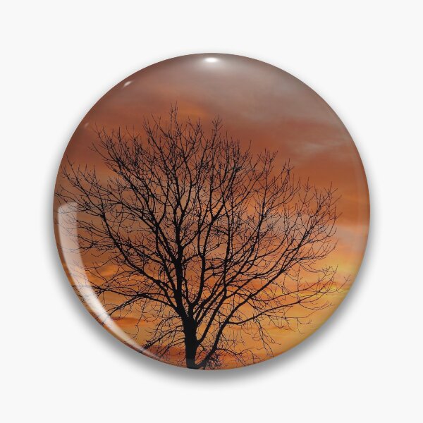Aperçu de l'œuvre Photographie arbre isolé au lever du soleil Broadway Cotswolds Gloucestershire créée et vendue par SimonJohnson1.