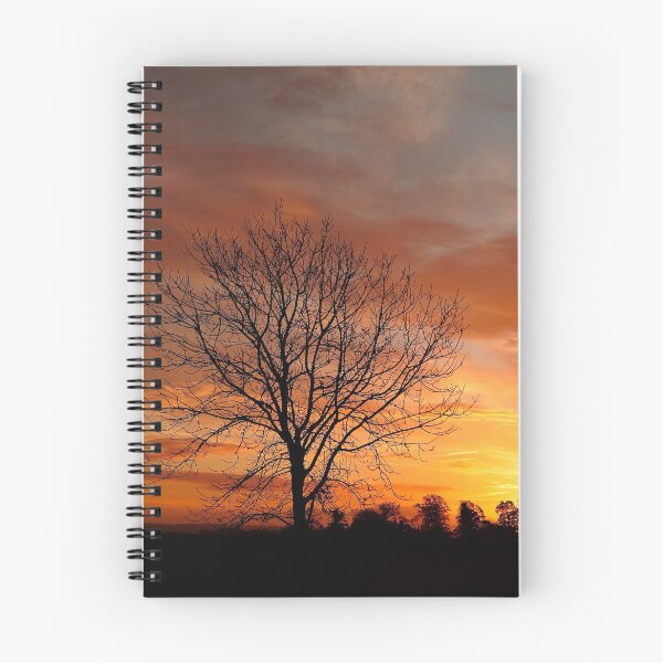 Item preview, photography isolated tree at sunrise Broadway Cotswolds Gloucestershire  designed and sold by SimonJohnson1.