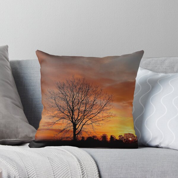 Item preview, photography isolated tree at sunrise Broadway Cotswolds Gloucestershire  designed and sold by SimonJohnson1.