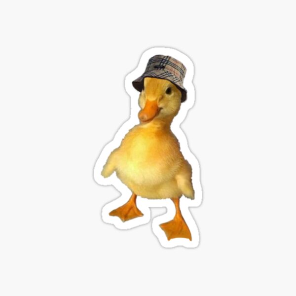 duck fisherman hat roblox