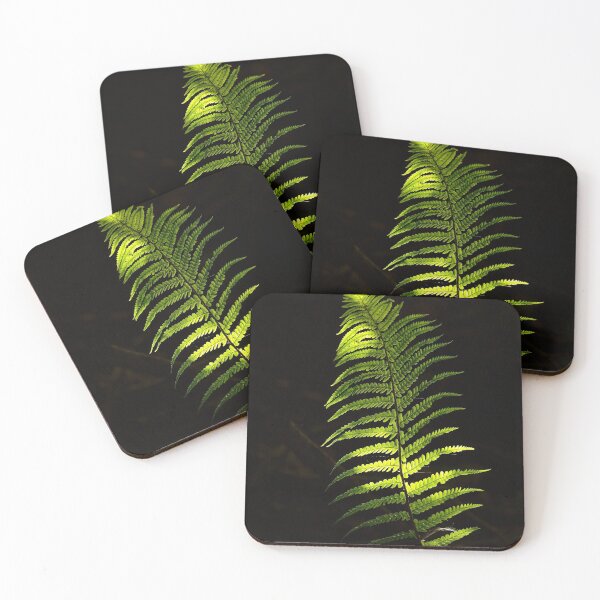 Item preview, Photography isolated sunlit fern  Cotswolds Gloucestershire designed and sold by SimonJohnson1.