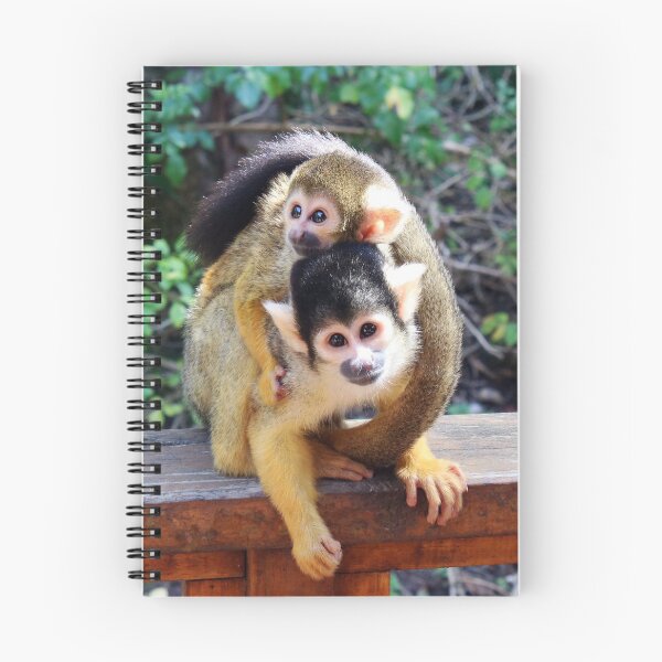 Item preview, Spider Monkey designed and sold by Samantha Bailey.