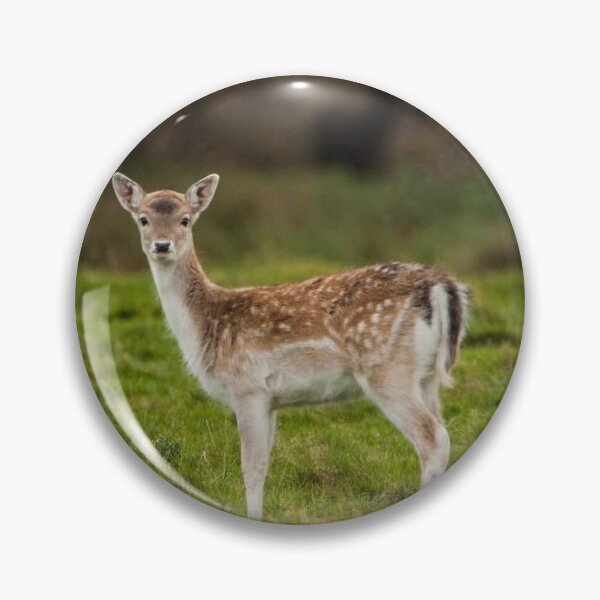 Item preview, Deer designed and sold by Kerrie-Ann Ellison.