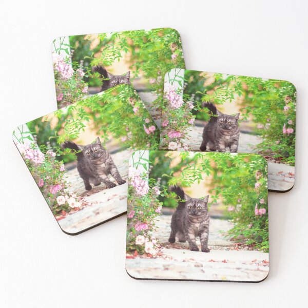 Item preview, Grey cat among roses in spring designed and sold by Pokofoto.