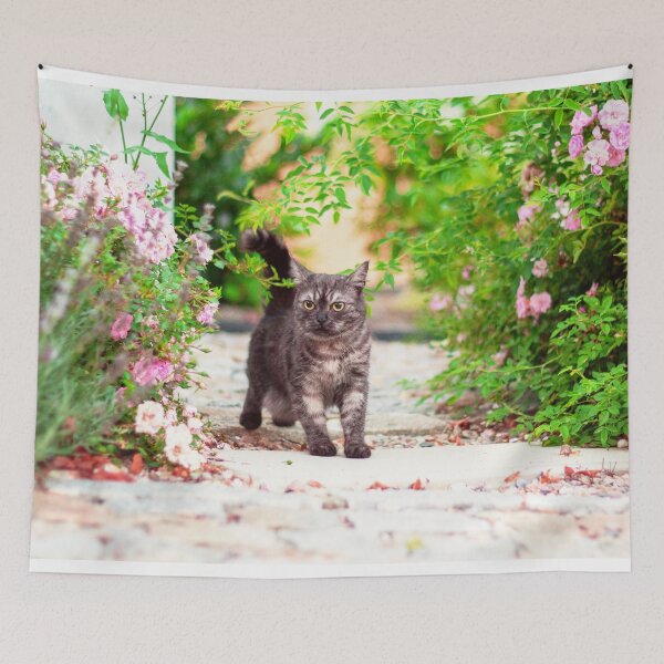 Item preview, Grey cat among roses in spring designed and sold by Pokofoto.