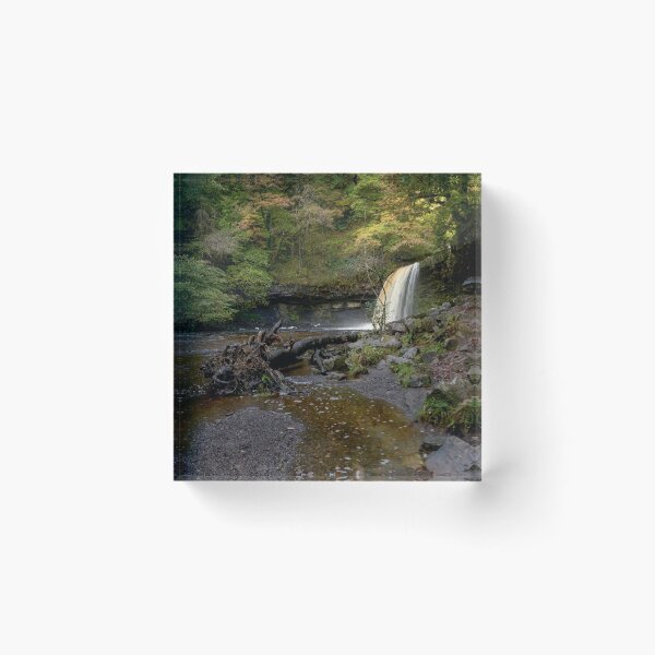 Item preview, Sgwd Gwladys Waterfall, Brecon Beacons National Park designed and sold by VnGphoto.