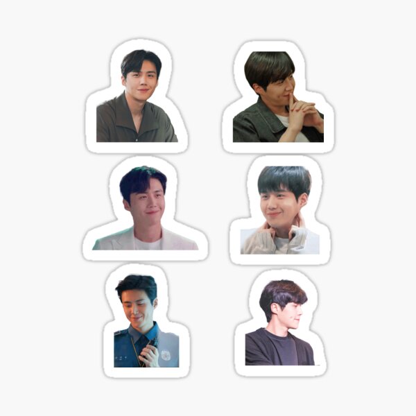 Kim Seon Ho (Han Ji Pyeong Start Up Kdrama) Sticker