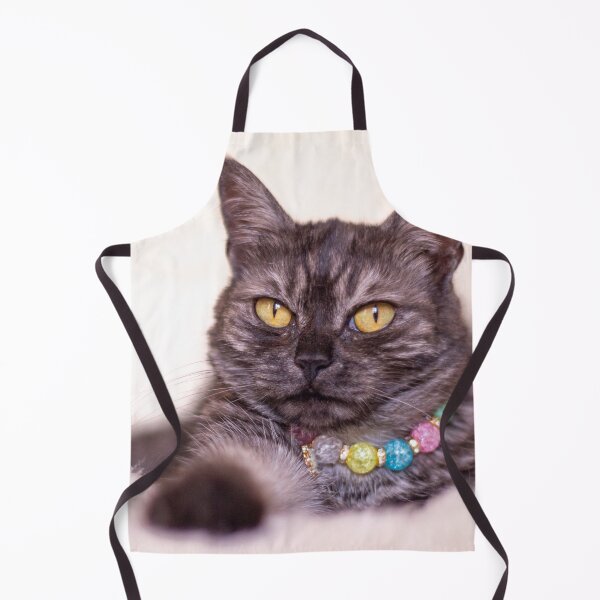 Item preview, Cute grey cat with yellow eyes designed and sold by Pokofoto.