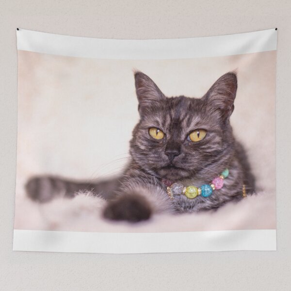 Item preview, Cute grey cat with yellow eyes designed and sold by Pokofoto.