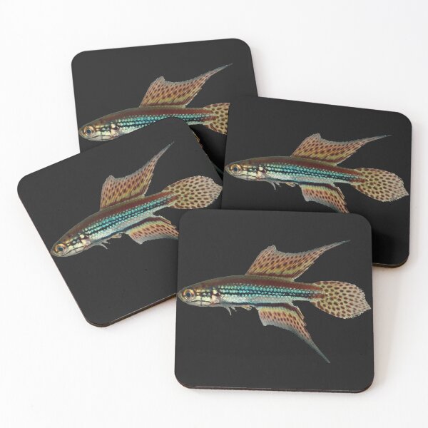 Item preview, NTB - Cynopoecilus notabilis Killifish designed and sold by killies.
