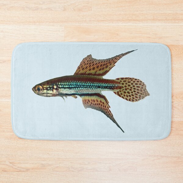 Item preview, NTB - Cynopoecilus notabilis Killifish designed and sold by killies.
