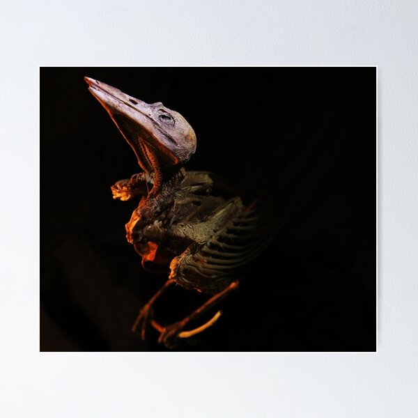 Item preview, Hungry Bird designed and sold by jagphoto.