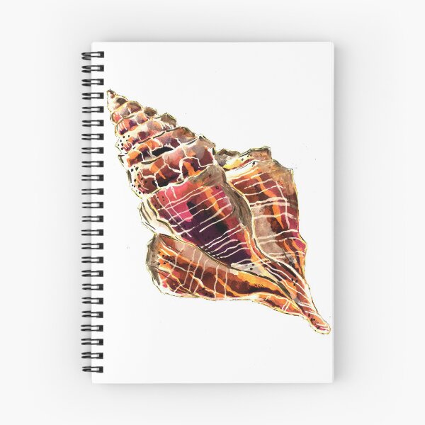 Item preview, Bronze Conch Shell designed and sold by Sebastian Grafmann.