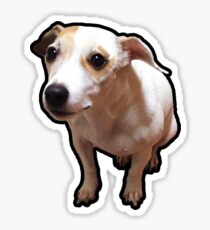 Gnar Jack Russell Terrier Sticker