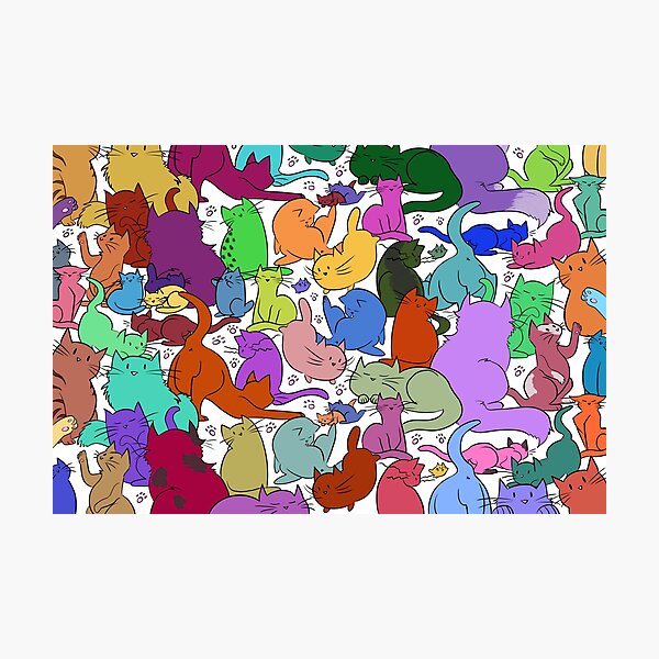 A Rainbow of Cats Photographic Print