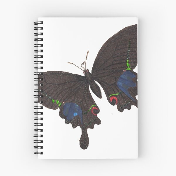 Item preview, Vintage Papilio Paris Butterly Biological Print (1789) designed and sold by Douglas E. Welch Design and Photography.