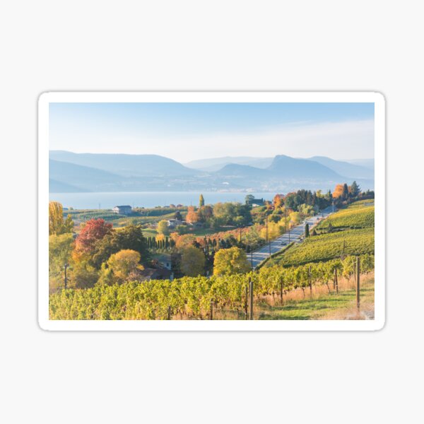 Item preview, Naramata and Okanagan Lake Autumn Vineyard View designed and sold by Amy Mitchell.