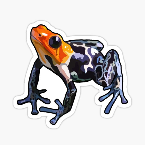 Item preview, Orange and Blue Poison Dart Frog designed and sold by Bailee  Koepsel.