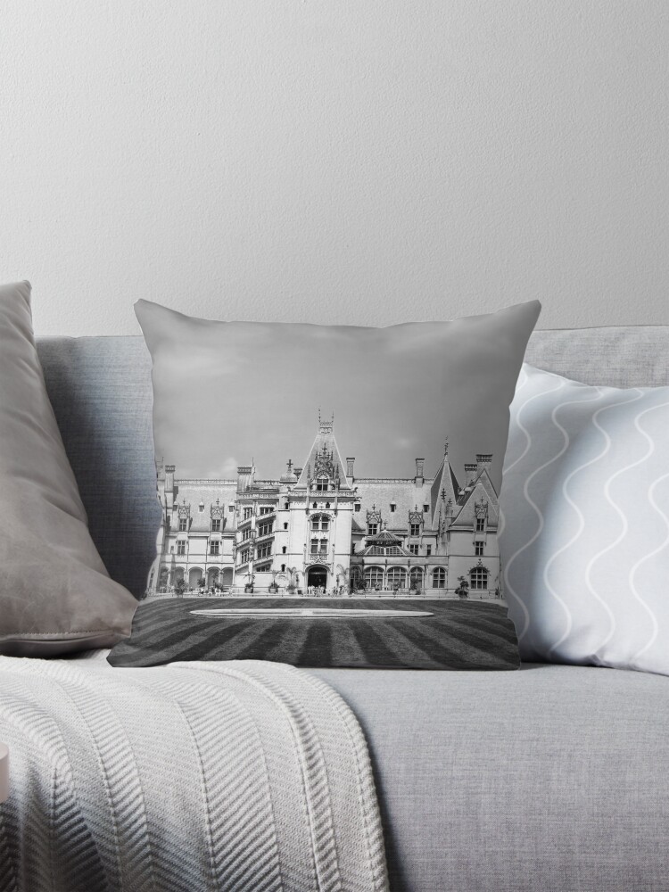 Biltmore down pillows hotsell