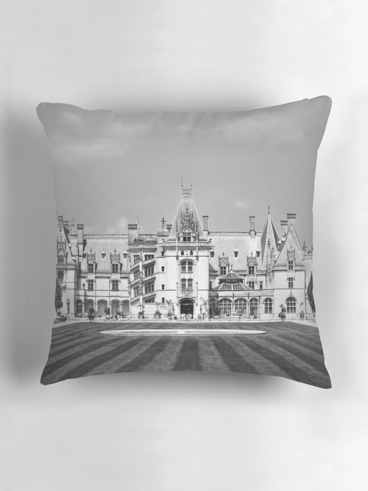 Biltmore down pillows best sale