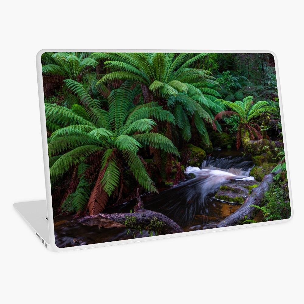 Item preview, Laptop Skin designed and sold by paulmp.