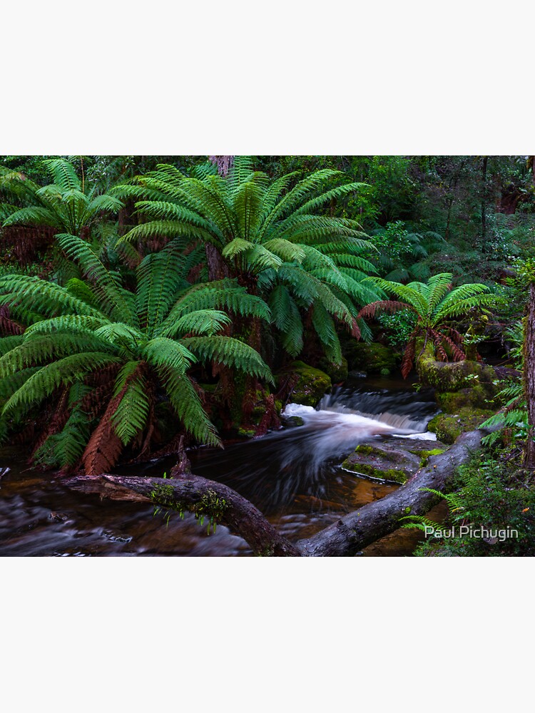 Thumbnail 3 of 3, Sticker, Mt Field National Park, Tasmania designed and sold by paulmp.