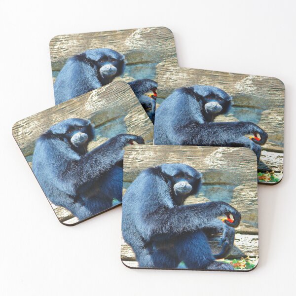 Item preview, Siamang Having A Snack designed and sold by Cynthia48.