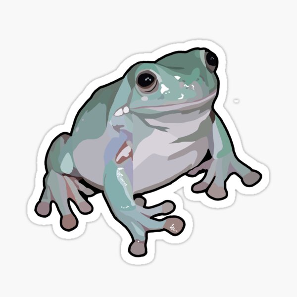 White's Tree Frog Sticker – Amphisbaena Exotics