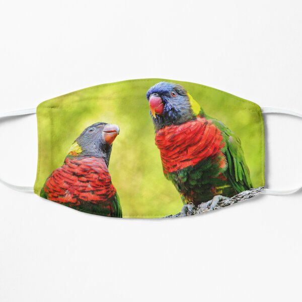Two Rainbow Lories Flat Mask
