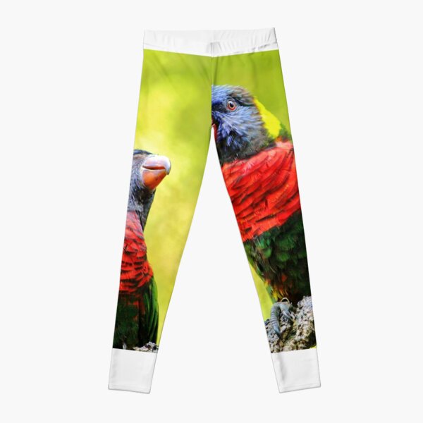 Two Rainbow Lories Leggings