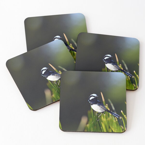 Item preview, Superb Fairy Wren. Lamington NP. Queensland, Australia. designed and sold by Ralph de Zilva.