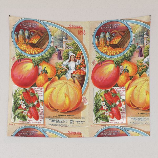 Item preview,  Oranges, Strawberries, Tomatoes - Salzer's 1898 designed and sold by killies.