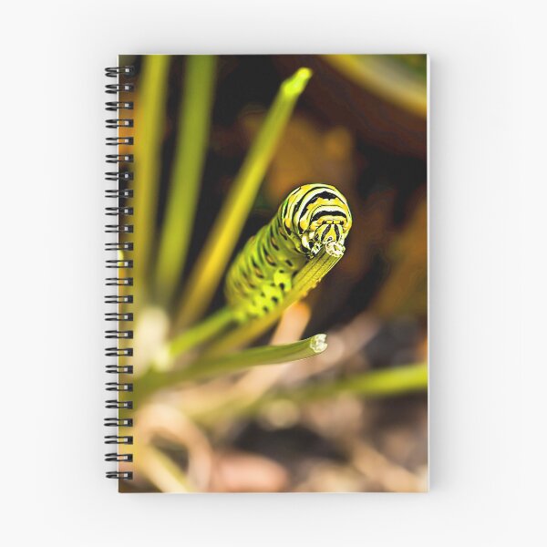 Item preview, Black Swallowtail Butterfly Caterpillar  designed and sold by Kay Brewer.
