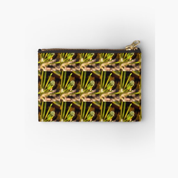 Item preview, Black Swallowtail Butterfly Caterpillar  designed and sold by Kay Brewer.
