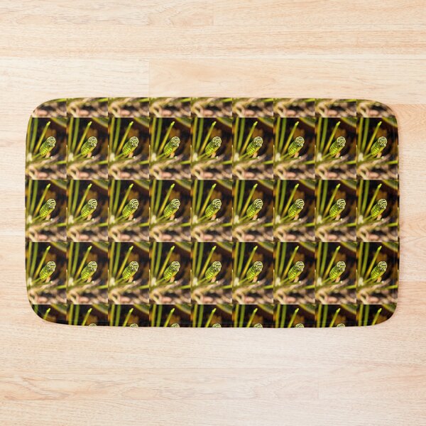Item preview, Black Swallowtail Butterfly Caterpillar  designed and sold by Kay Brewer.
