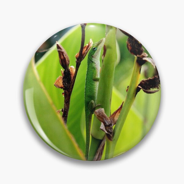 Aperçu de l'œuvre Lézard Anole vert créée et vendue par HisRuin.