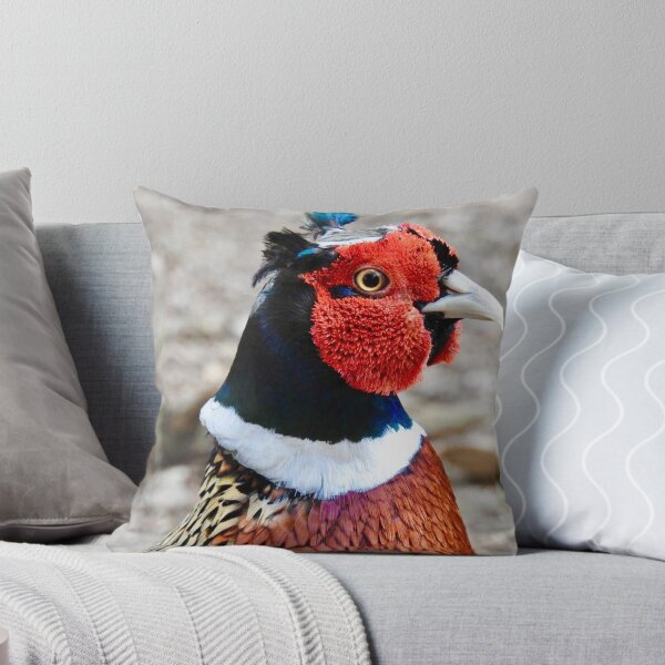 Item preview, ¡Chico espléndido! designed and sold by weecritter.